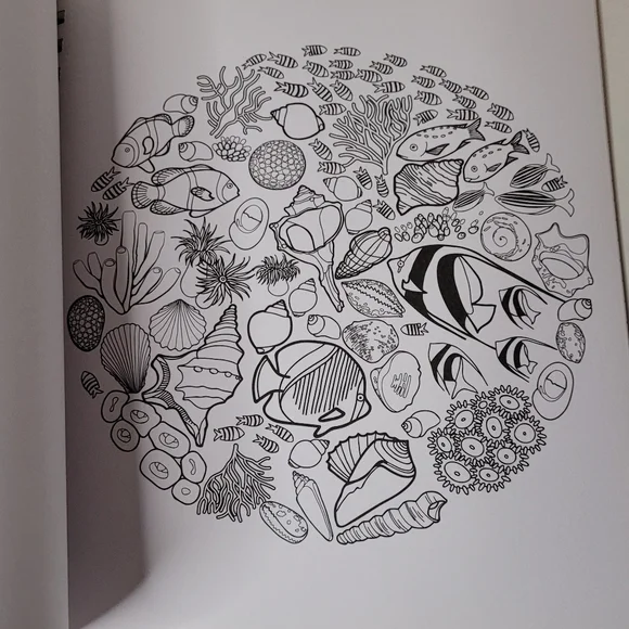 Color and Frame 3 books in 1 Flowers Deserts Oceans NWOT - Picture 6 of 10